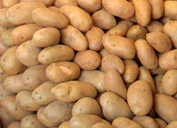 Έκρηξη στα παρασκήνια της Βασιλικής Όπερας του Λονδίνου