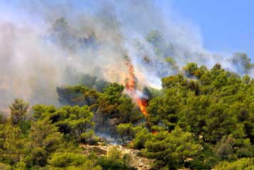 Υπό έλεγχο τρεις πυρκαγιές που ξέσπασαν σε αγροτοδασικές εκτάσεις