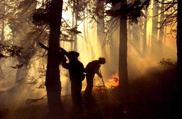 Μεγάλες πυρκαγιές καταστρέφουν τα δάση των δυτικών πολιτειών των ΗΠΑ