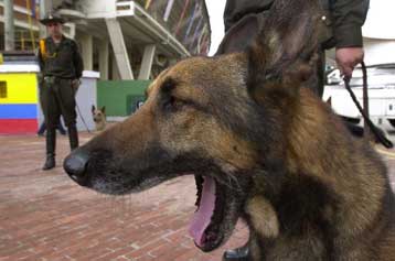 Φορητή συσκευή αποκωδικοποιεί τα γαβγίσματα