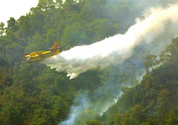 Σε πλήρη εξέλιξη η πυρκαγιά που ξέσπασε το πρωί στη Φθιώτιδα