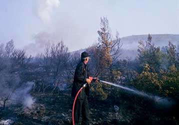 Υπό έλεγχο οι φωτιές σε Κέρκυρα και Ανάβυσσο – Σε εξέλιξη πυρκαγιά στα Ιωάννινα