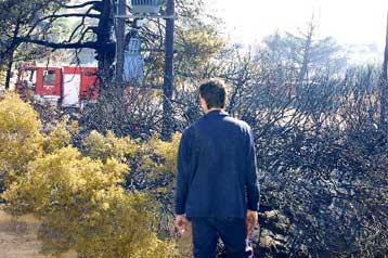 Σβήστηκε η φωτιά στη Ραφήνα μια ώρα μετά την εκδήλωσή της