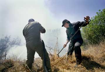 Πυρκαγιά ξέσπασε την Κυριακή στη Ραφήνα – Υπό έλεγχο οι φωτιές στην υπόλοιπη χώρα