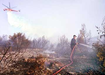 Υπό έλεγχο η πυρκαγιά στη Μεγαλόπολη Αρκαδίας