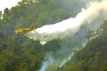 Υπό μερικό έλεγχο η πυρκαγιά σε δασική έκταση στο Παλιούρι Χαλκιδικής