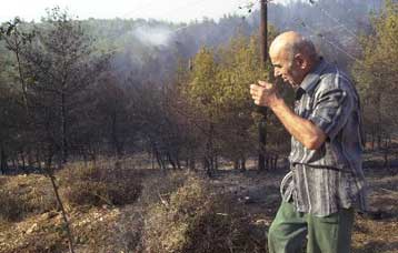 Υπό έλεγχο τέθηκαν οι φωτιές σε Καρέα, Εύβοια και Ρίο