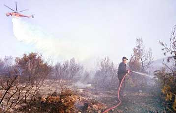 Υπό πλήρη έλεγχο η πυρκαγιά στα Δερβενοχώρια Βοιωτίας