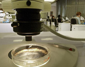 Βλαστικά κύτταρα μετασχηματίζονται σε καρδιακά