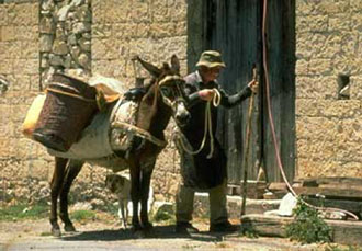 Κυνήγι γονιδίων στην Πάφο: Χιλιάδες Κύπριοι θα υποβληθούν σε τεστ για τη μελέτη γενετικής ασθένειας