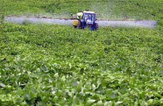 Μυστηριώδη γονίδια: Τμήματα άγνωστου DNA εντοπίστηκαν σε τροποποιημένη σόγια
