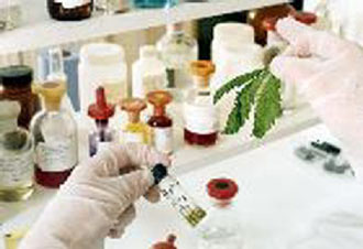 Η κάνναβη ως αναλγητικό: Αρχισαν οι κλινικές δοκιμές