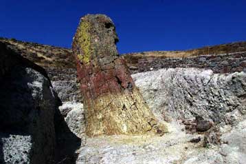 Ευρωπαϊκή διάκριση για τo Μουσείο Φυσικής Ιστορίας Απολιθωμένου Δάσους Λέσβου