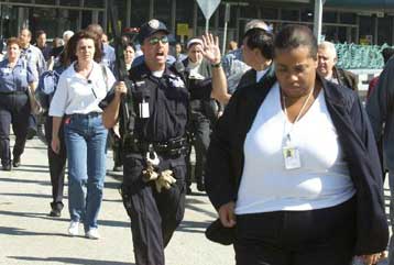 Καμία σχέση δεν έχουν οι συλληφθέντες στα αεροδρόμια της Νέας Υόρκης