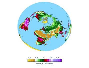 Αύξηση της πυκνότητας της βλάστησης στο βόρειο ημισφαίριο