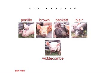 Χιλιάδες τηλεθεατές συγκεντρώνει το βουκολικό αδερφάκι του Big Brother, το Pig… Brother