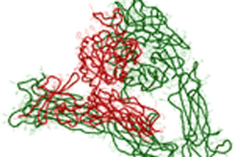 Σημαντική επιστημονική ανακάλυψη: Ελπίδα για φάρμακα ανίατων ασθενειών