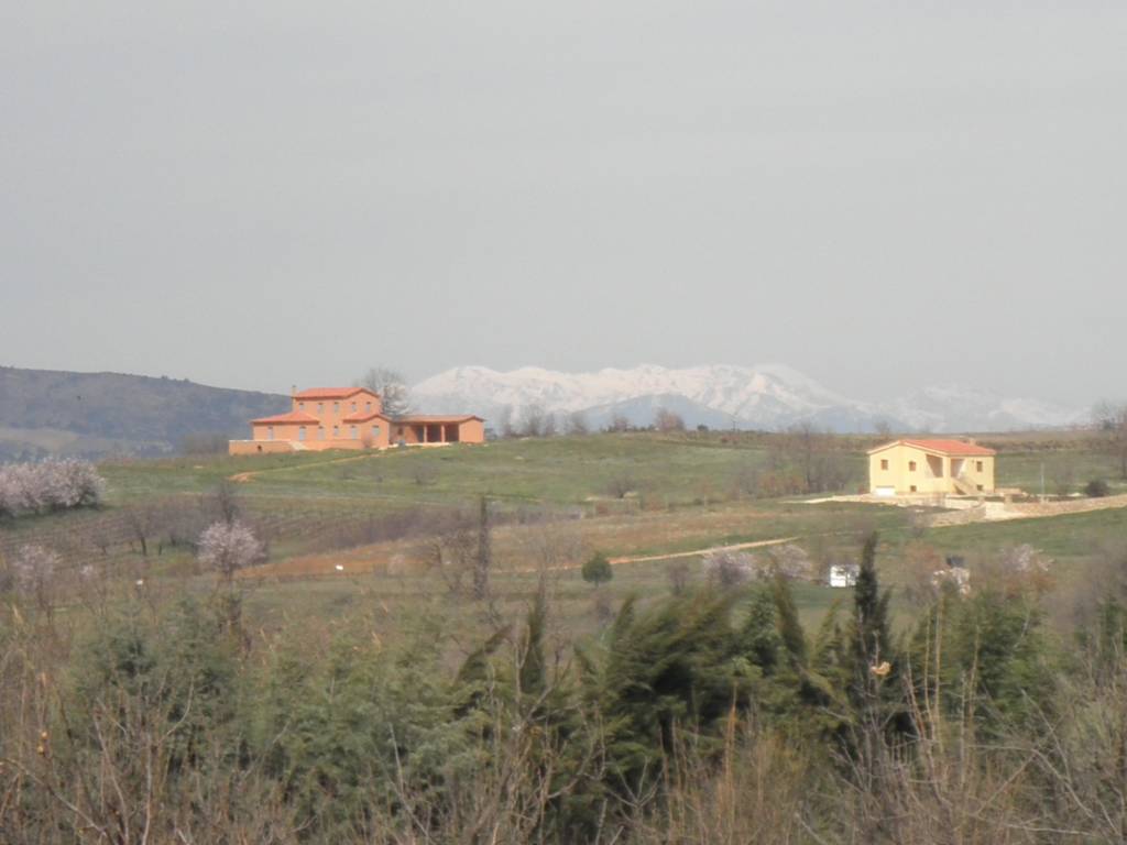 Συλλεκτική έκδοση για την Porsche Boxster