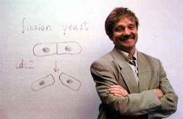 Ανακοινώθηκαν οι νικητές του βραβείου Νόμπελ Ιατρικής-Φυσιολογίας για το 2001