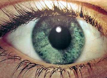 Η θέα όμορφων προσώπων… εξάπτει τον εγκέφαλο