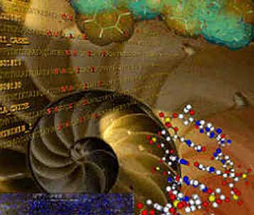 Δεν αρκούν τα γρήγορα και ισχυρά τσιπ, σύμφωνα με την ΙΒΜ