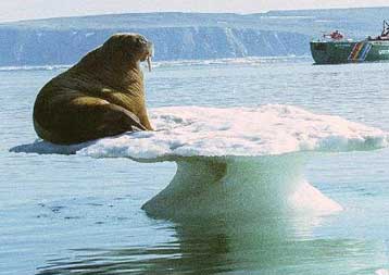 Η ΕΕ προτείνει σύστημα αγοραπωλησίας των πιστώσεων για την εκπομπή αέριων ρύπων