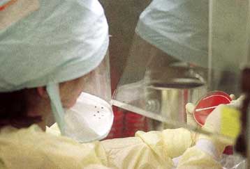 Δύο παιδιά στην Ουάσινγκτον ενδεχόμενα θύματα του άνθρακα – Τρεις νέες περιπτώσεις