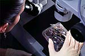 Ένα ακόμη κομμάτι στο παζλ για τον καρκίνο του μαστού