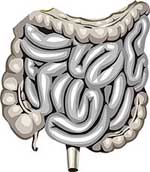 Σε καλύτερη κατανόηση του ανθρώπινου γονιδιώματος οδηγούνται οι επιστήμονες