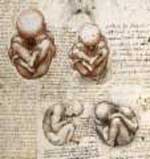 Ανεπάρκεια μητρικής ορμόνης ενοχοποιείται για την πρώιμη αποβολή