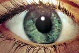 Η θέα όμορφων προσώπων… εξάπτει τον εγκέφαλο