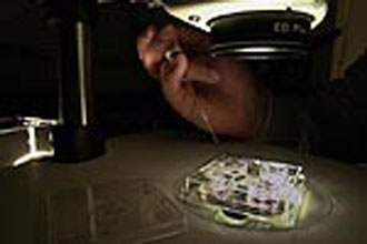 Η αμερικανική Γερουσία ενέκρινε τη χρηματοδότηση ερευνών σε βλαστικά κύτταρα