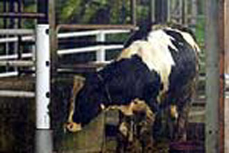 Αμφιλεγόμενη «αισιόδοξη» πρόβλεψη για την επιδημία  Κρόιτσφελντ-Γιάκομπ