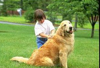 Τα κατοικίδια ζώα και ο ανθρώπινος ψυχισμός