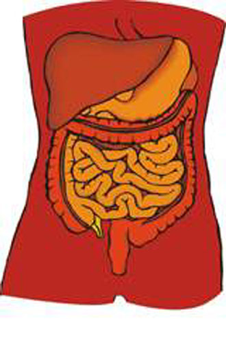 Νόσος του Crohn: Πιο ευπαθείς όσοι γεννήθηκαν καλοκαίρι;