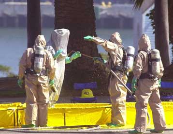 Ισχυρές ενδείξεις για δύο περιπτώσεις άνθρακα και στη Γερμανία