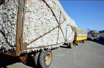 Νέα συλλαλητήρια ετοιμάζουν οι αγρότες – Επίθεση Καραμανλή κατά της κυβέρνησης