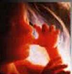 Χημικές ουσίες ενοχοποιούνται για λιποβαρή νεογνά