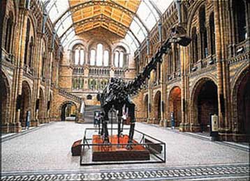 Ελεύθερη η είσοδος στα μουσεία της Βρετανίας από την 1η Δεκεμβρίου