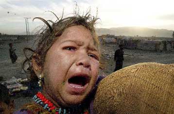 Οκτώ λαθρομετανάστες βρέθηκαν νεκροί σε κοντέινερ στην Ιρλανδία