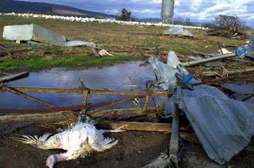 Τέσσερις νεκροί από την κακοκαιρία στην Τουρκία