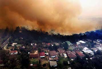 Σε πύρινο κλοιό το Σίδνεϊ – Καλύτερη η κατάσταση στην Καμπέρα
