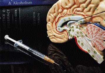 Οι ενδορφίνες συνυπεύθυνες για την εξάρτηση από αλκοόλ και ναρκωτικά