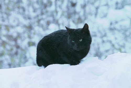 Σαββατοκύριακο με τσουχτερό κρύο και ισχυρούς ανέμους στα πελάγη
