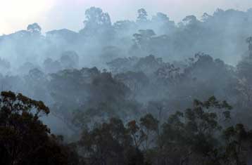 Στα προάστεια του Σίδνεϊ έφτασαν οι φλόγες που κατακαίουν την Αυστραλία