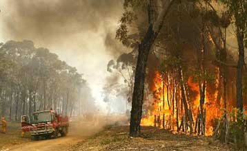 Είκοσι ένα άτομα συνέλαβαν στην Αυστραλία ως υπόπτους για τον εμπρησμό των δασών