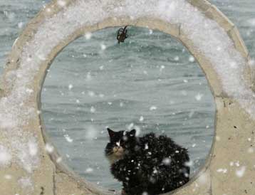 Ένδεκα νεκροί στην Τουρκία από το δριμύ ψύχος