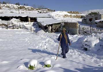 Στις ζημιές και τις αποζημιώσεις των αγροτών από την κακοκαιρία αναφέρθηκε ο Γ.Δρυς