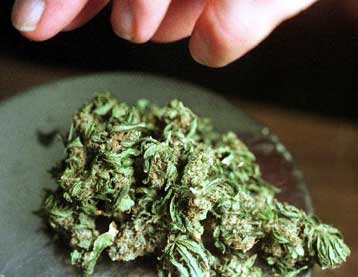 Νέες κλινικές δοκιμές για ιατρική χρήση της κάνναβης στη Βρετανία