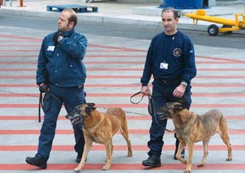 Συμπλοκή εμπόρων ναρκωτικών και συνοριοφυλάκων στα Ιωάννινα με έναν τραυματία